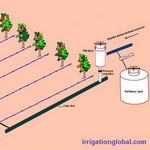 Drip irrigation systems installation
