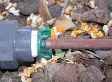 insert start connector thd. hydrobloom