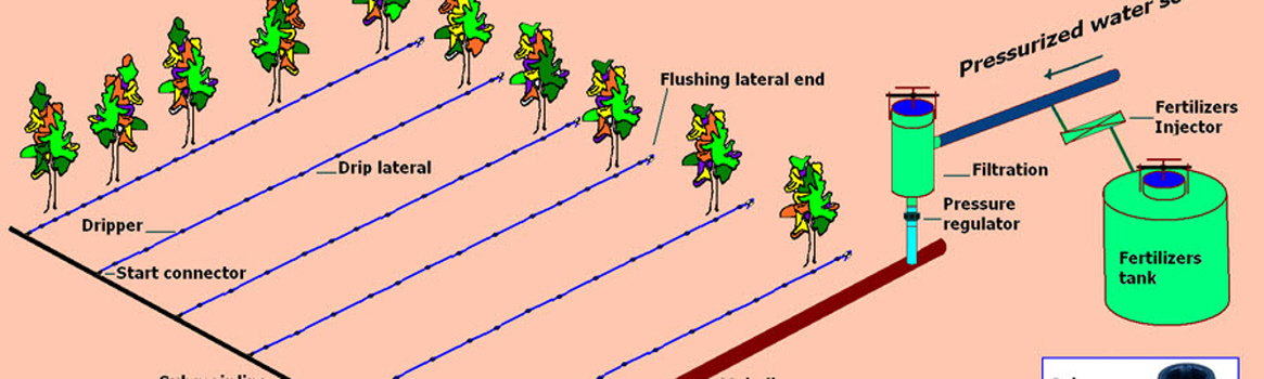 INSTALLATION DRIP IRRIGATION SYSTEM