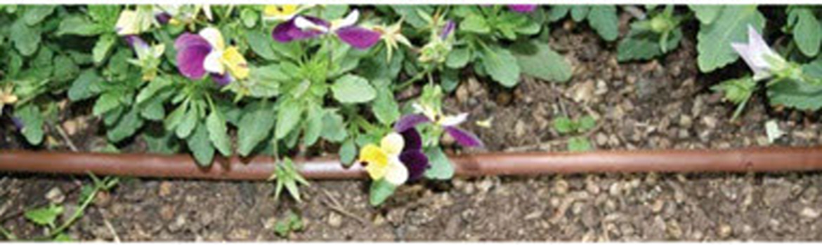 Hydrobloom mini dripline