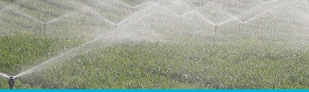 Netakit Sprinkler Irrigation field Crops