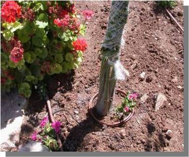 garden irrigationglobal.com 1