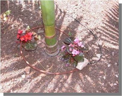 garden irrigationglobal.com 2