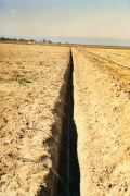 irrigation pipe branches