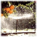 Mini Sprinklers