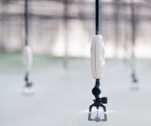 Mist Sprayers 