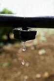 drip_irrigation_small