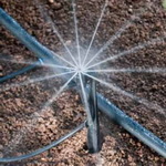 tornado ray-jet sprayer irrigation system